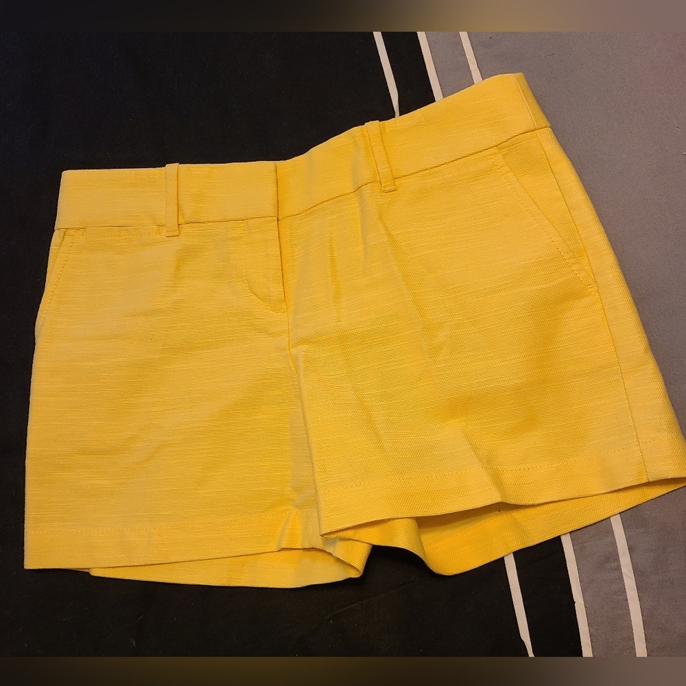 Ann Taylor LOFT Shorts
